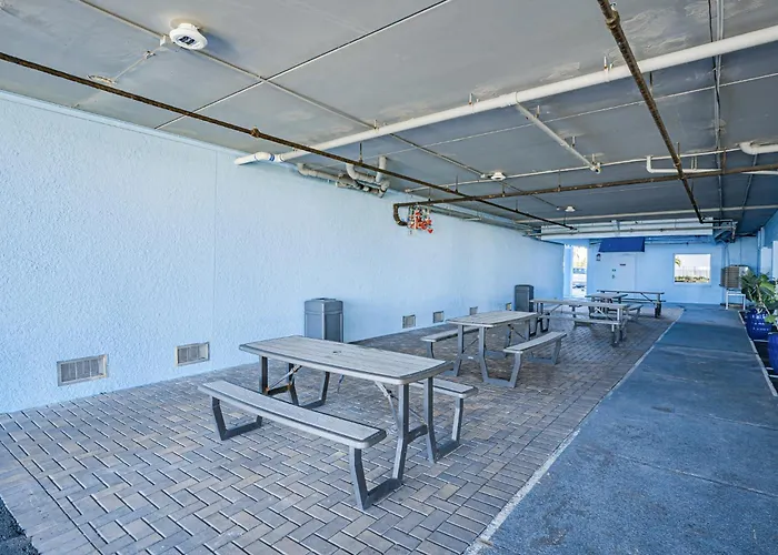 Dollar 407 Apartment *